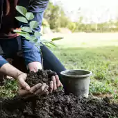Young man planting a tree to preserve environment