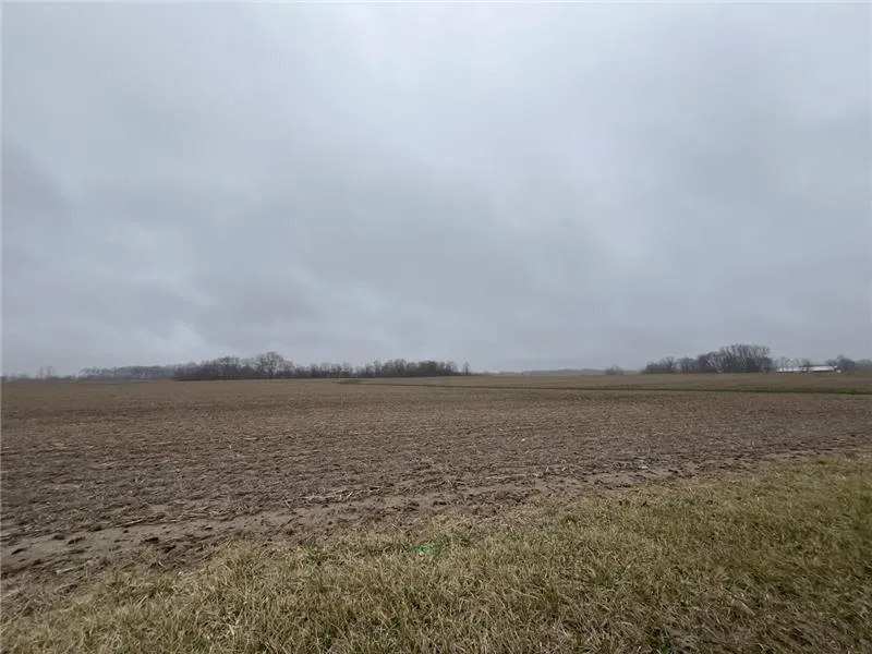 Farmland in Morgan County, Indiana, beneath an overcast sky, with bare trees and farm buildings along the horizon.