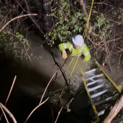 lineworker in water with ladder and tree limbs 