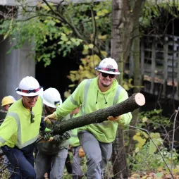 day in the parks 2025