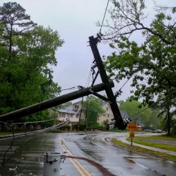 Downed power line on ground